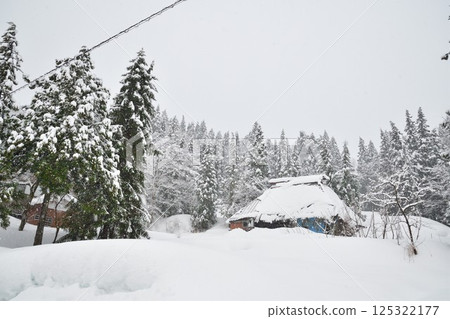 Snow scene of Takayanagi thatched circular village (Niigata Prefecture) Snow scene of Takayanagi thatched circular village (Niigata Prefecture) 125322177