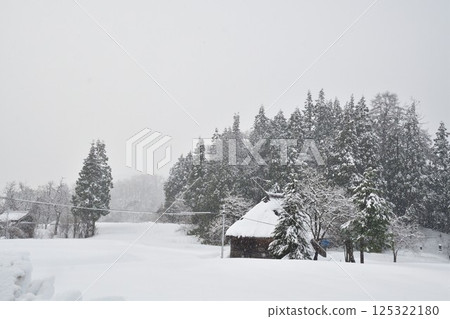 Snow scene of Takayanagi thatched circular village (Niigata Prefecture) Snow scene of Takayanagi thatched circular village (Niigata Prefecture) 125322180