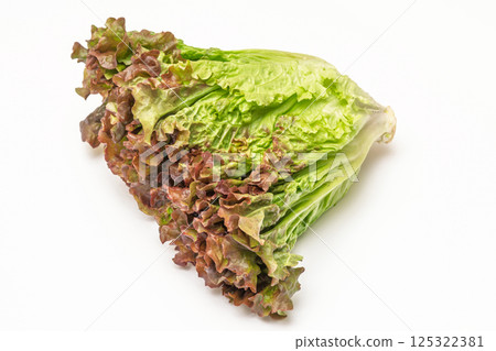 陽光生菜 125322381