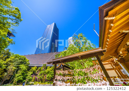 日本東京的城市景觀,俯瞰麻布台之丘、八幡神社等。 日本東京的城市景觀,俯瞰麻布台之丘、八幡神社等。 125322412