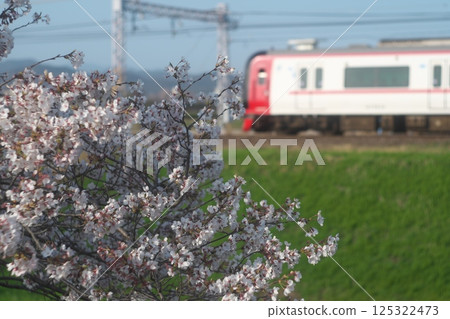 Cherry blossoms and a train 125322473