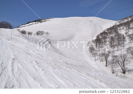 Tsukiyama滑雪場 125322662