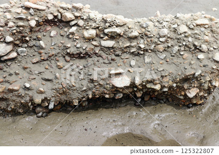 Early summer: Clithon fasciatus taking shelter in the shade at low tide (river flowing into Osaka Bay) Early summer: Clithon fasciatus taking shelter in the shade at low tide (river flowing into Osaka Bay) 125322807