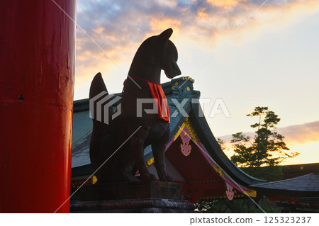 京都伏見稻荷大社：美麗的夕陽與獅狐（京都府京都市伏見區） 125323237