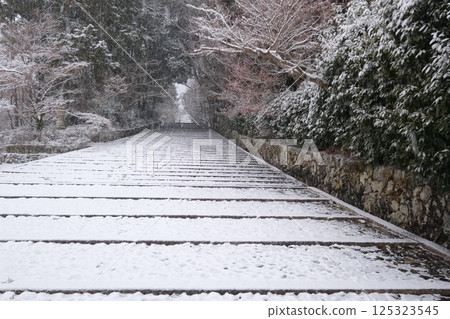 Snow-covered approach to Ao-Komyoji Temple 125323545