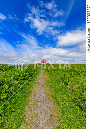 A red lighthouse reaches the top through the grasslands A red lighthouse reaches the top through the grasslands 125323575