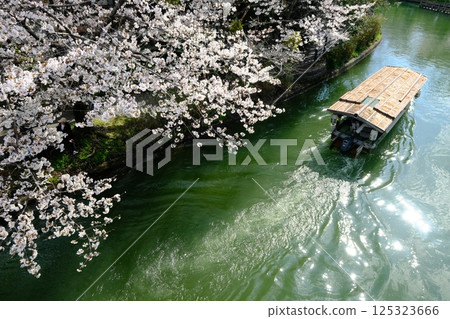 春天的伏見運河和十石船 125323666