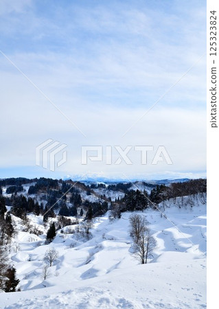 蒲生梯田的雪景（新潟縣） 125323824