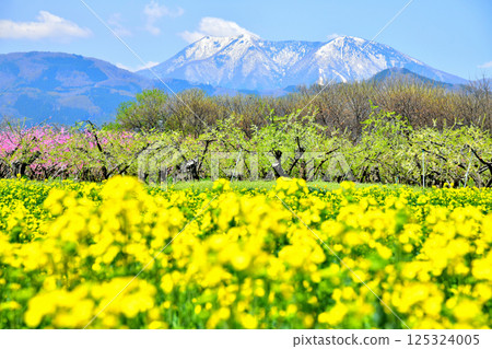 View of Mt. Iizuna and Mt. Reisenji from near Obuse Bridge (Obuse Town, Nagano Prefecture) [April 2025] 125324005