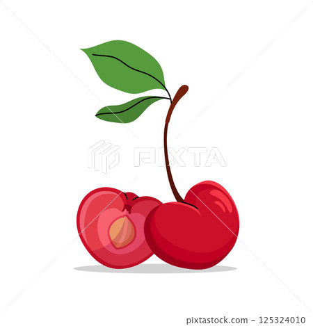 Vector flat illustration of two cherries with green leaves, one whole and one sliced in half showing pit. Hand drawn style with clean lines, perfect for food and summer designs. Vector illustration. 125324010