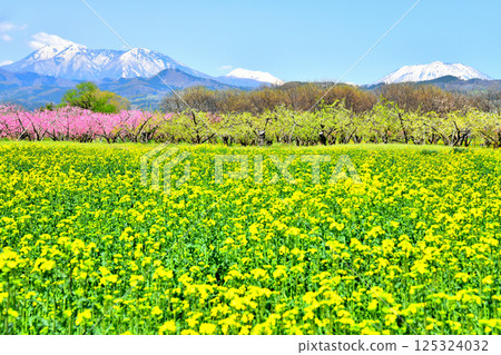 View of Mt. Iizuna and Mt. Reisenji from near Obuse Bridge (Obuse Town, Nagano Prefecture) [April 2025] 125324032