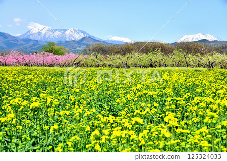 View of Mt. Iizuna and Mt. Reisenji from near Obuse Bridge (Obuse Town, Nagano Prefecture) [April 2025] 125324033