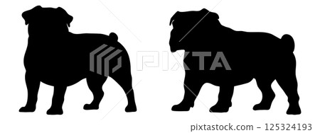 Bulldog in different poses. Dog breed silhouette. 125324193