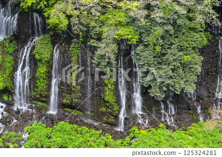 Shiraito Falls in Fujinomiya City, Shizuoka Prefecture 125324281