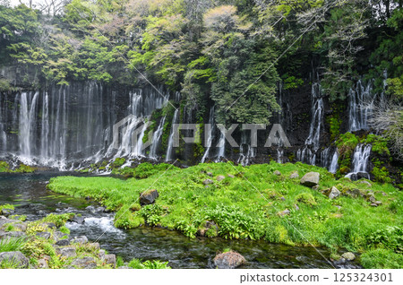 Shizuoka縣富士宮市的Shiraito瀑布 Shizuoka縣富士宮市的Shiraito瀑布 125324301