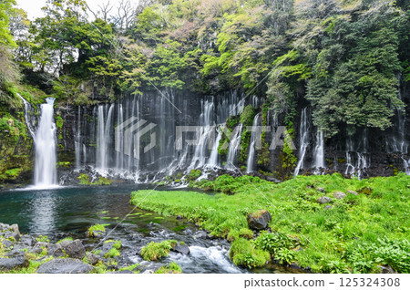 Shiraito Falls in Fujinomiya City, Shizuoka Prefecture Shiraito Falls in Fujinomiya City, Shizuoka Prefecture 125324308