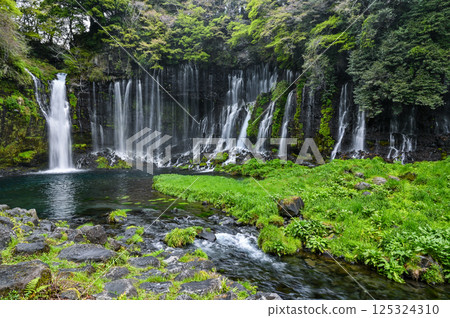 Shiraito Falls in Fujinomiya City, Shizuoka Prefecture Shiraito Falls in Fujinomiya City, Shizuoka Prefecture 125324310