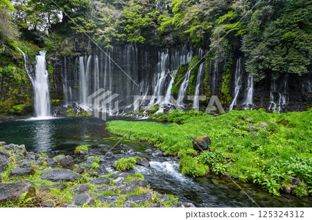 Shiraito Falls in Fujinomiya City, Shizuoka Prefecture Shiraito Falls in Fujinomiya City, Shizuoka Prefecture 125324312