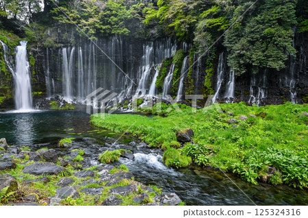 Shizuoka縣富士宮市的Shiraito瀑布 125324316