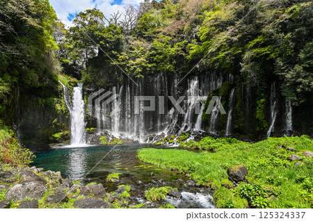 Shiraito Falls in Fujinomiya City, Shizuoka Prefecture 125324337