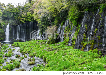 Shiraito Falls in Fujinomiya City, Shizuoka Prefecture 125324356