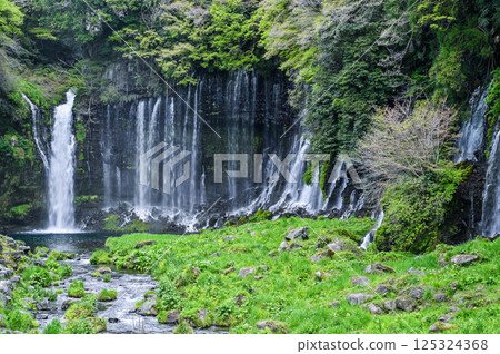 Shiraito Falls in Fujinomiya City, Shizuoka Prefecture Shiraito Falls in Fujinomiya City, Shizuoka Prefecture 125324368