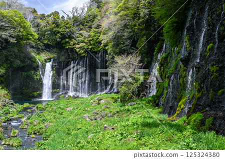 Shiraito Falls in Fujinomiya City, Shizuoka Prefecture 125324380