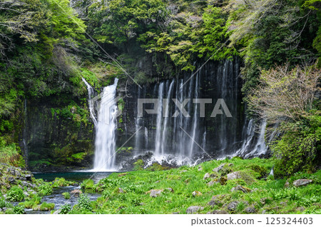 Shiraito Falls in Fujinomiya City, Shizuoka Prefecture 125324403