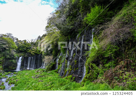Shiraito Falls in Fujinomiya City, Shizuoka Prefecture Shiraito Falls in Fujinomiya City, Shizuoka Prefecture 125324405
