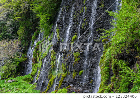 Shizuoka縣富士宮市的Shiraito瀑布 125324406