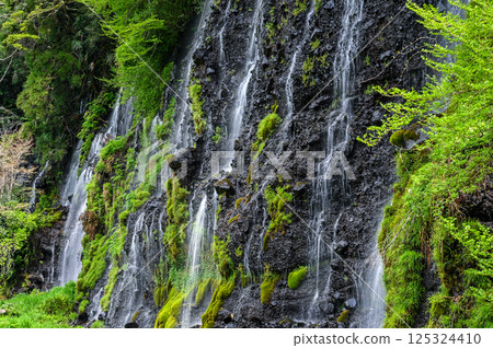 Shiraito Falls in Fujinomiya City, Shizuoka Prefecture 125324410