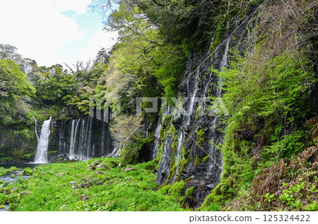 Shiraito Falls in Fujinomiya City, Shizuoka Prefecture Shiraito Falls in Fujinomiya City, Shizuoka Prefecture 125324422