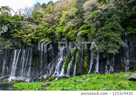 Shiraito Falls in Fujinomiya City, Shizuoka Prefecture 125324430