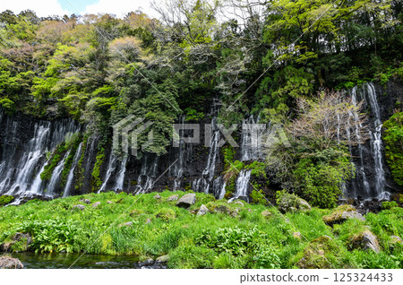 Shiraito Falls in Fujinomiya City, Shizuoka Prefecture 125324433