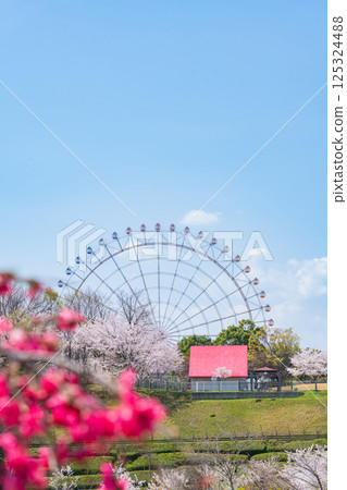春天的愛知縣萬博紀念公園,桃花盛開(愛知縣長久手市) 春天的愛知縣萬博紀念公園,桃花盛開(愛知縣長久手市) 125324488
