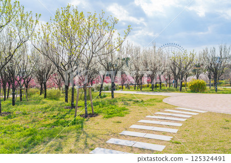 春天的愛知縣萬博紀念公園，桃花盛開（愛知縣長久手市） 125324491