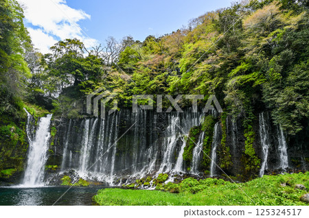 Shiraito Falls in Fujinomiya City, Shizuoka Prefecture Shiraito Falls in Fujinomiya City, Shizuoka Prefecture 125324517