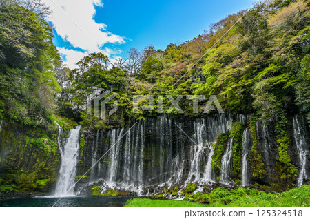 Shiraito Falls in Fujinomiya City, Shizuoka Prefecture Shiraito Falls in Fujinomiya City, Shizuoka Prefecture 125324518