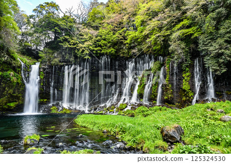 Shiraito Falls in Fujinomiya City, Shizuoka Prefecture Shiraito Falls in Fujinomiya City, Shizuoka Prefecture 125324530