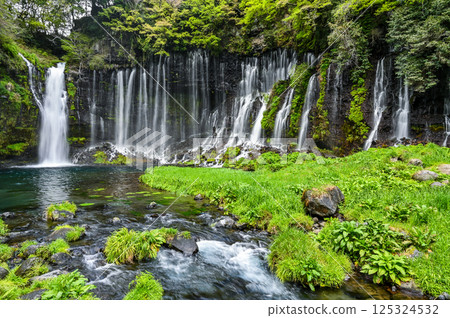 Shiraito Falls in Fujinomiya City, Shizuoka Prefecture Shiraito Falls in Fujinomiya City, Shizuoka Prefecture 125324532