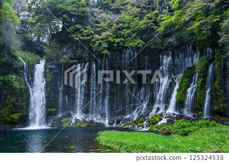 Shiraito Falls in Fujinomiya City, Shizuoka Prefecture Shiraito Falls in Fujinomiya City, Shizuoka Prefecture 125324538