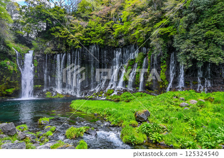Shiraito Falls in Fujinomiya City, Shizuoka Prefecture 125324540