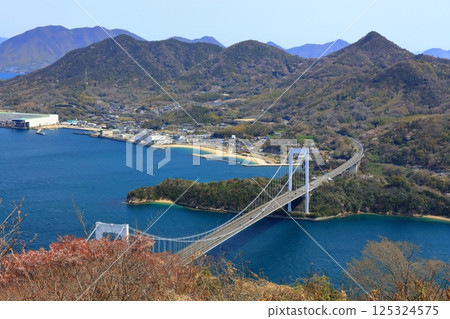 [愛媛郡] 春天櫻花盛開時從嘉井山展望公園眺望大島大橋（島波街道） 125324575