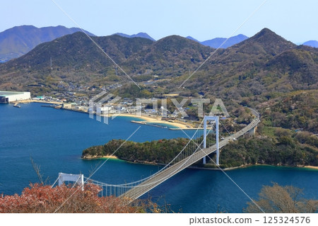 [愛媛郡] 春天櫻花盛開時從嘉井山展望公園眺望大島大橋（島波街道） 125324576