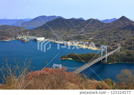 [愛媛郡] 春天櫻花盛開時從嘉井山展望公園眺望大島大橋（島波街道） 125324577