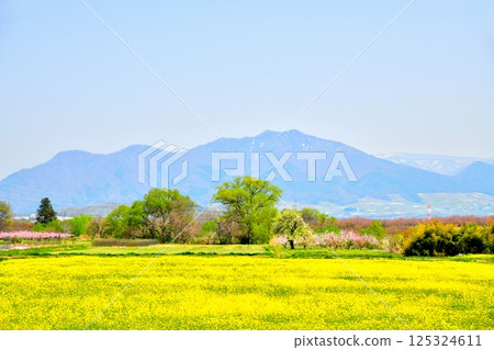 View of Takayashiroyama/Nakano city area from near Obuse Bridge (Obuse Town, Nagano Prefecture) [April 2025] 125324611