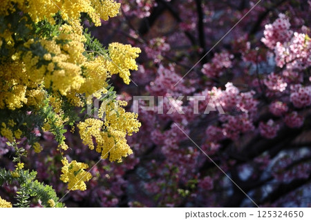 溫暖人心的存在 溫暖人心的存在 125324650