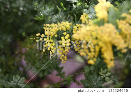 溫暖人心的存在 125324656