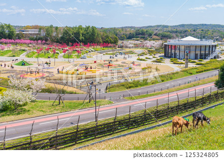 春天的愛知縣萬博紀念公園，桃花盛開（愛知縣長久手市） 125324805