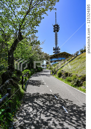從靜岡縣日本平看到的富士山 從靜岡縣日本平看到的富士山 125324895